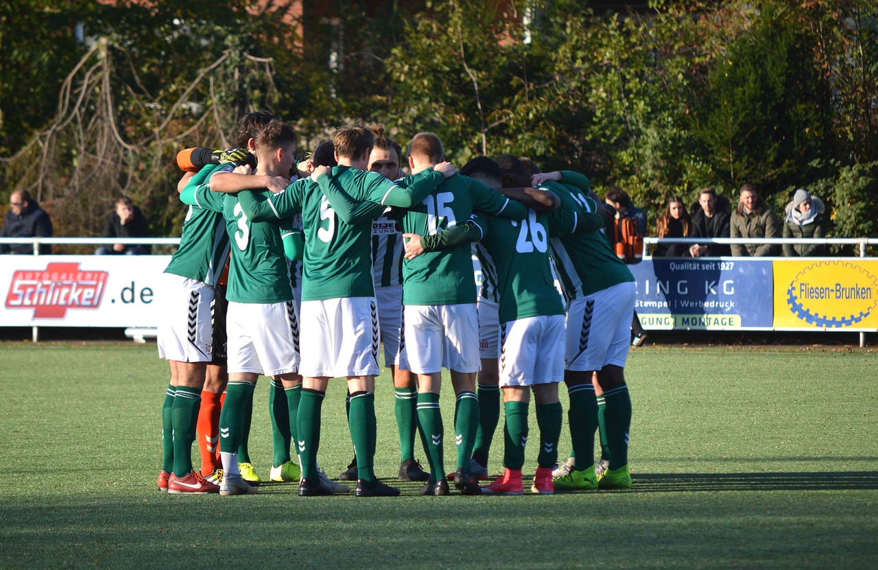 雾森：悦借app详情下载教程